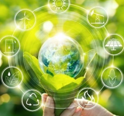 Langkah Praktis Meraih Sertifikasi ISO 14001 untuk Perusahaan Transportasi Panduan Menuju Logistik Hijau