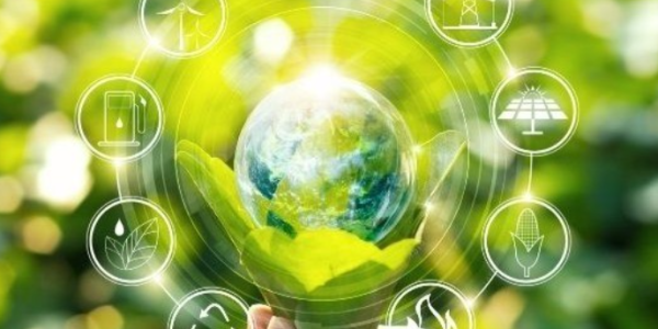 Langkah Praktis Meraih Sertifikasi ISO 14001 untuk Perusahaan Transportasi Panduan Menuju Logistik Hijau