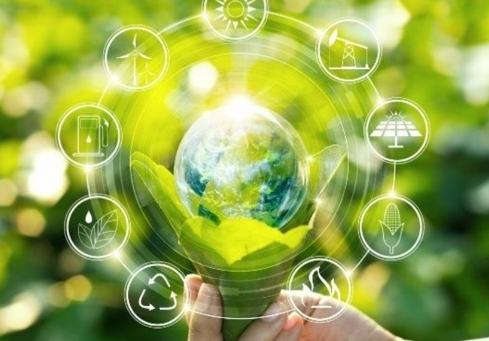 Langkah Praktis Meraih Sertifikasi ISO 14001 untuk Perusahaan Transportasi Panduan Menuju Logistik Hijau